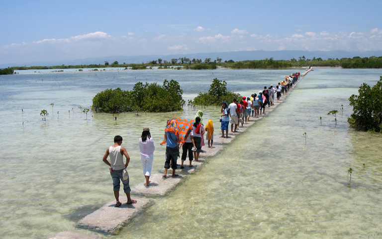 Olango Island Bird Sanctuary